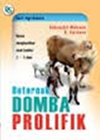 Image of Beternak Domba Prolifik