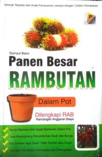 Image of Panen Besar Rambutan dalam Pot