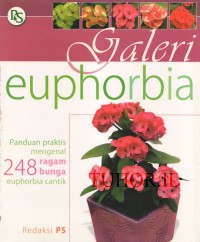 Image of Galeri Euphorbia
