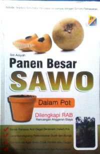 Image of Panen Besar Sawo dalam Pot